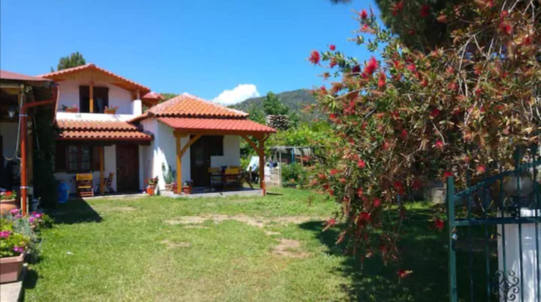 Daire Toula's House *