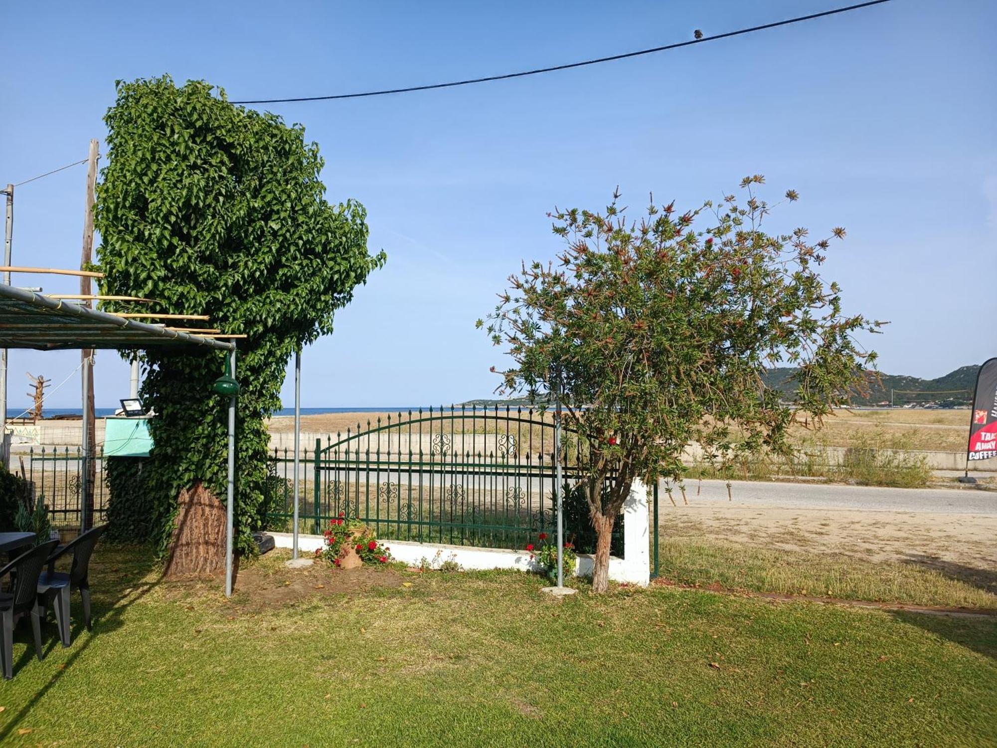 Daire Toula's House